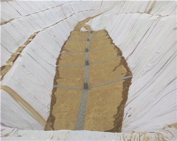 合陽(yáng)縣百良鎮農村環(huán)境
